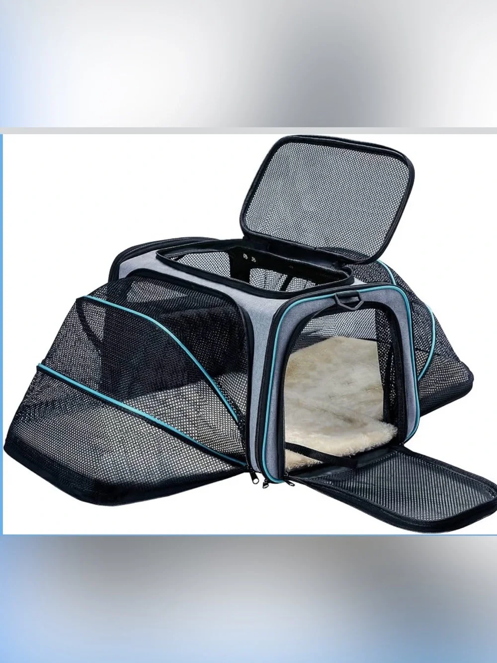 TDHDIKE | Cat Dog Carrier